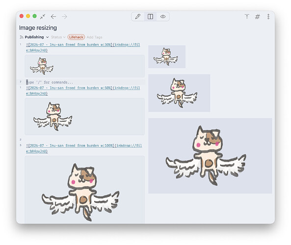 image resizing examples