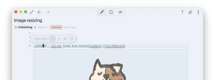 image resize toolbar
